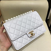 Chanel Classic Rhomboid Cover Bag White - 6