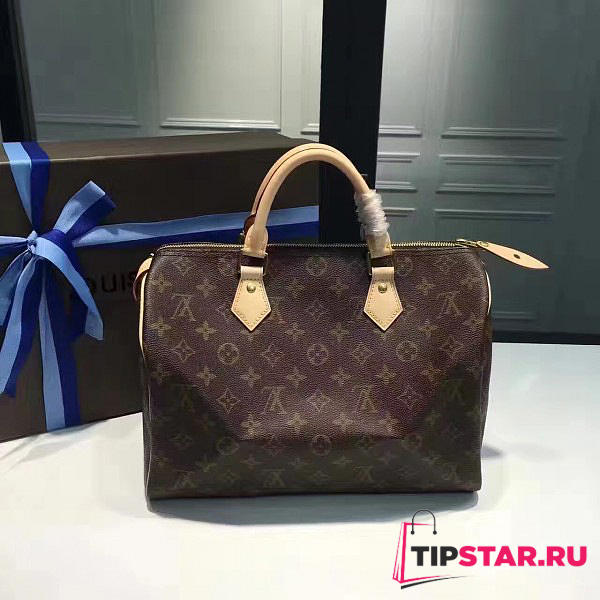 LV speedy 30 monogram canvas 3104 - 1