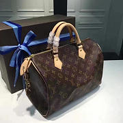 LV speedy 30 monogram canvas 3104 - 2