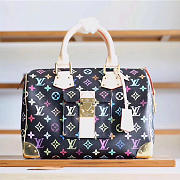 louis vuitton multicolor speedy shining 3824 - 1