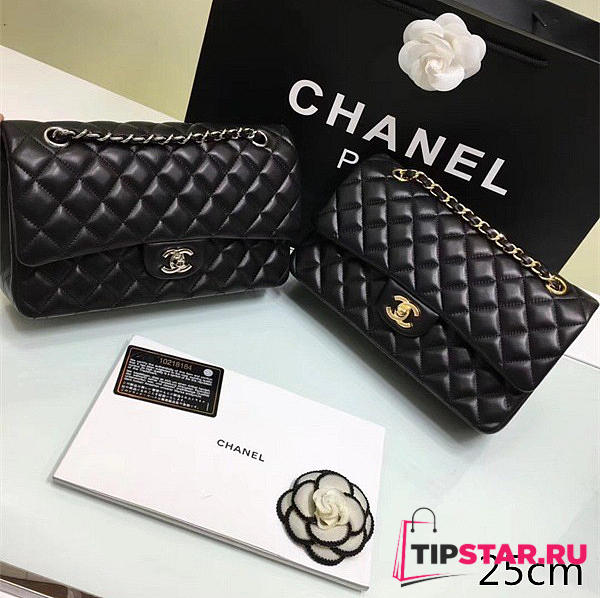 Chanel Lambskin Leather Flap Bag Gold/Silver Metal Black 25cm - 1