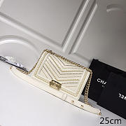Chanel Wrinkled Calfskin White Gold Hardware - 1