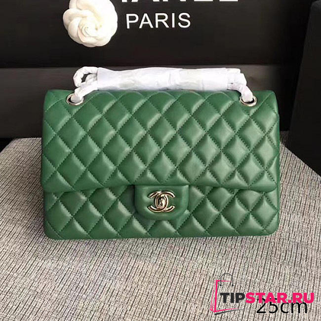 Chanel Lambskin Classic Double Flap Bag Green A01112 25cm - 1