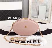 Chanel Whole Cowhide Pink - 5