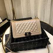 Chanel Le Boy 2019 Pearlescent Chain Shoulder Bag 67086 - 1