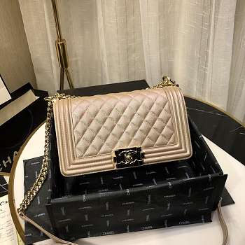 Chanel Le Boy 2019 Pearlescent Chain Shoulder Bag 67086