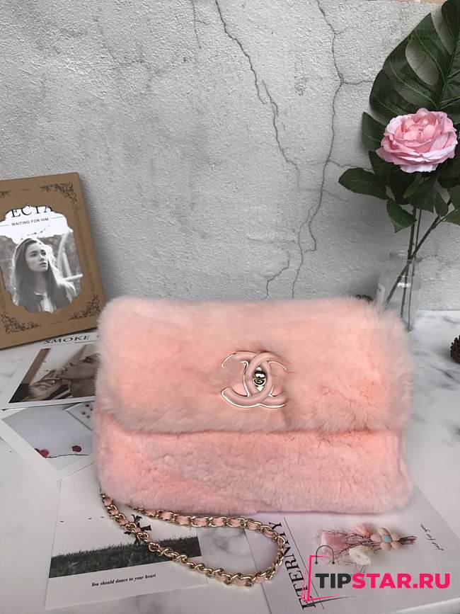 Chanel Woc Chain Bag A69900 Pink - 1