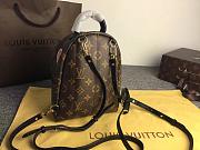 LV palm springs backpack mini world tour monogram reverse canvas - 3