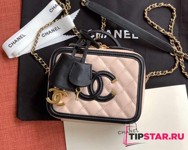 Chanel Chain Camera Bag 17cm-21cm - 1