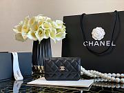 Chanel 2020 Autumn And Winter New Pearl Shoulder Strap Chest Bag - 3