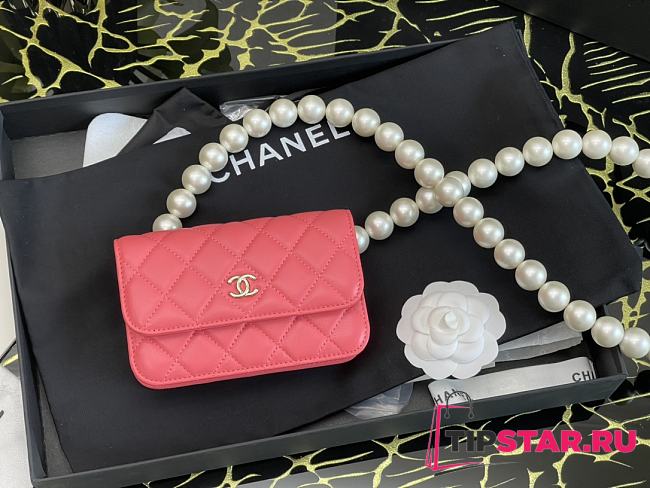 Chanel 2020 Autumn And Winter New Pearl Shoulder Strap Chest Bag - 1