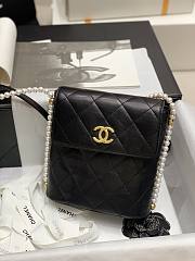 Chanel 2021 Early Spring New Series Pearl Chain Bag (Black) - 1