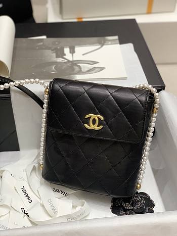 Chanel 2021 Early Spring New Series Pearl Chain Bag (Black)