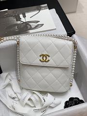 Chanel 2021 Early Spring New Series Pearl Chain Bag (White) - 1