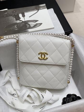 Chanel 2021 Early Spring New Series Pearl Chain Bag (White)