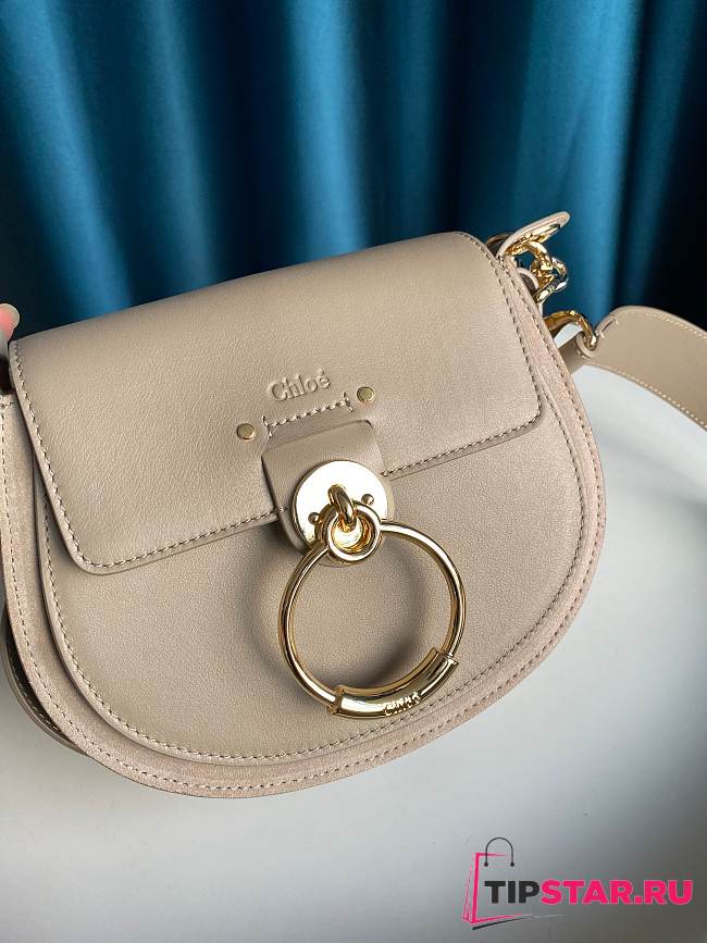 CHLOÉ Small Tess Bag (Motty Gray) CHC18WS153A3723W - 1