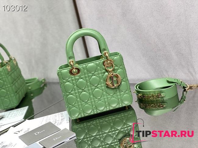 Dior's mini lady bag (Willow Green Cannage Lambskin) M0538OCEA_M64H - 1
