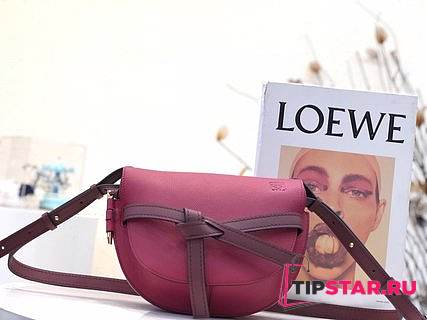 LOEWE Small Gate bag in soft calfskin(Purple) 321.54.T20 - 1