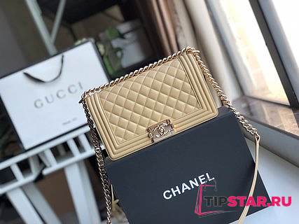CHANEL Boy Chanel Handbag (Beige) - 1
