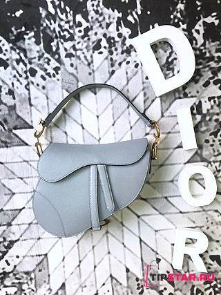Dior Saddle Bag (Gray Grained Calfskin) M0446CBAA_M41G - 1