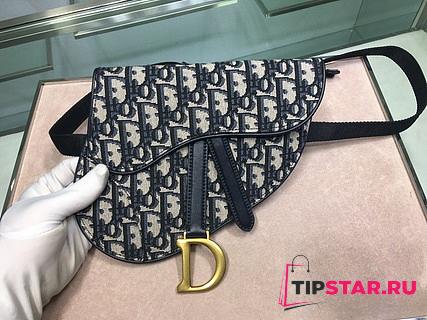 Dior Saddle Belt Bag (Dark Blue Dior Oblique Jacquard Canvas) S5632 - 1