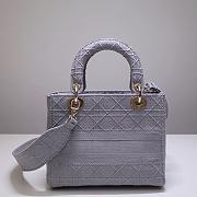 Dior Lady (Gray) 44532 Size 24x20x11cm - 4