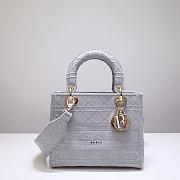 Dior Lady (Gray) 44532 Size 24x20x11cm - 1