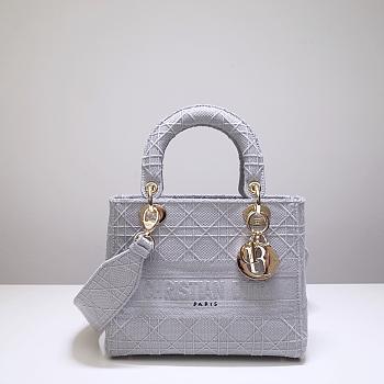 Dior Lady (Gray) 44532 Size 24x20x11cm