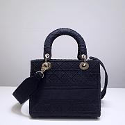 Dior Lady (Black) 44532 Size 24x20x11cm - 2