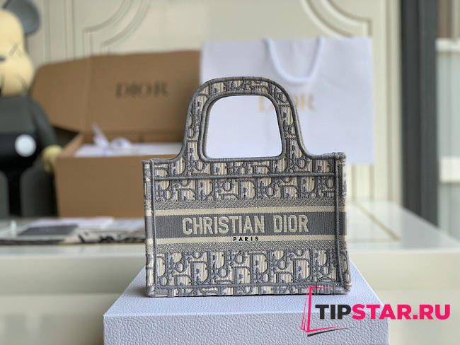 Dior Mini Book Tote (Gray) Dior Oblique Embroidery S5475ZRIW_M932 - 1