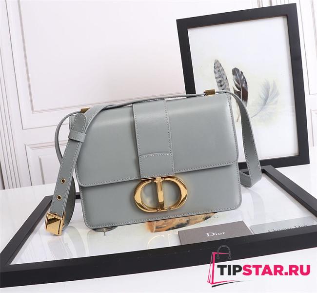 DIOR 30 Montaigne Box Bag (Gray) M9204UMOS_M41G - 1