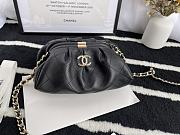 Chanel Cloud Bag (Black) 22cm  - 1