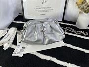 Chanel Cloud Bag (Silver) 22cm  - 1