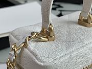 Chanel Mini Box Bag (White)  - 4