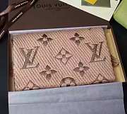 LV Apricot Scarf - 5