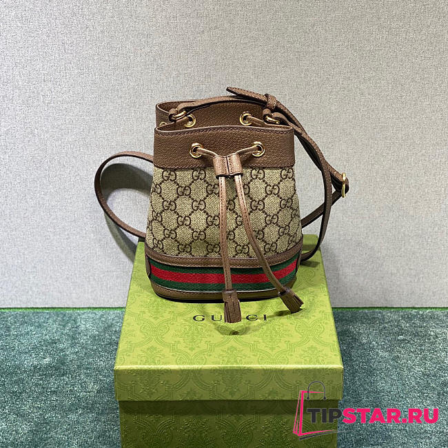 GUCCI Small Bucket 550620 - 1