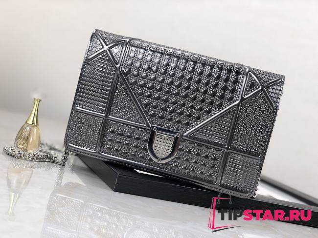 DIOR Ama Woc Chain Bag 19cm (Metal Silver) - 1