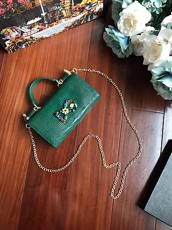 D&G Imported Leather Lizard Pattern Mobile Phone Bag (Green)