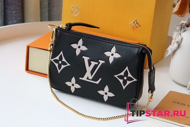 LV Mini Pochette Accessoires (Black) M80732 - 1