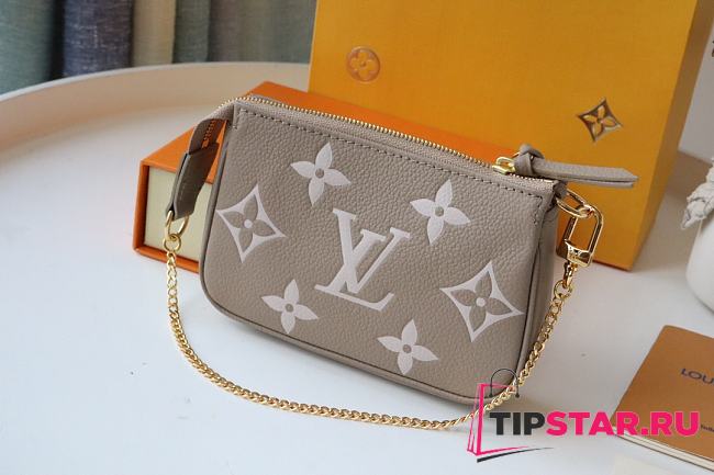 LV Mini Pochette Accessoires (Grey) M80501   - 1