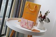 LV Mini Pochette Accessoires (Pinky) M80501   - 2