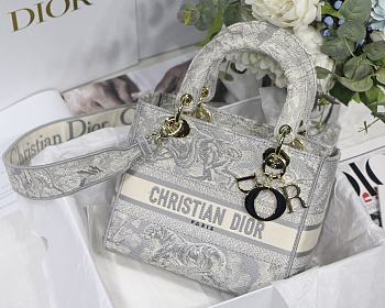 Dior Medium Lady D-Lite Toile de Jouy Reverse Embroidery Bag (Gray) M0565ORGO_M932