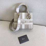 Dior Medium Lady D-Lite D-Stripes Embroidery Bag (Gray)   - 1