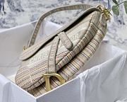 DIOR Saddle Oblique Embroidery Stripes M9001  - 2