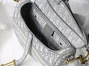 DIOR Saddle Bag Oblique Embroidery (Gray) M0446CRIW_M932 - 2