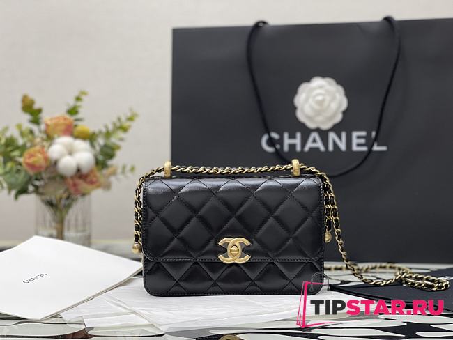 Chanel Wallet On Chain Calfskin & Gold-Tone Metal (Black) AP2289   - 1