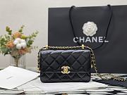 Chanel Wallet On Chain Calfskin & Gold-Tone Metal (Black) AP2289   - 1