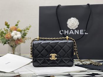 Chanel Wallet On Chain Calfskin & Gold-Tone Metal (Black) AP2289  