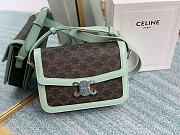 Celine Medium Triomphe Bag In Triomphe Canvas And Calfskin (Light Green)  - 1
