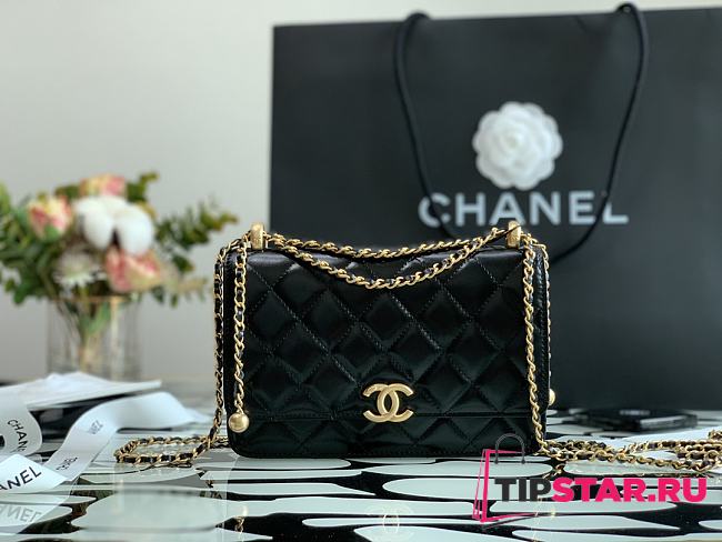 CHANEL Mini Flap Bag Calfskin & Gold-Tone Metal (Black) - 1